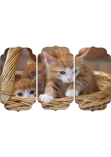 Kedi Mdf Tablo 2563 (Model D)