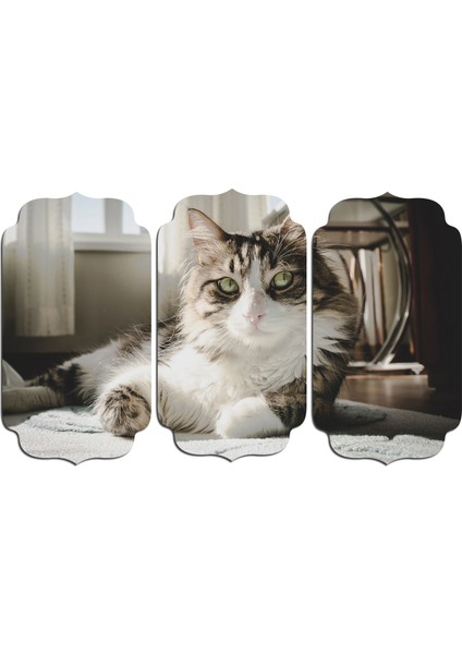 Kedi Mdf Tablo 2581 (Model D)