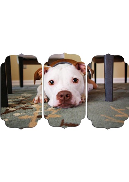 Köpek Mdf Tablo 2649 (Model D)
