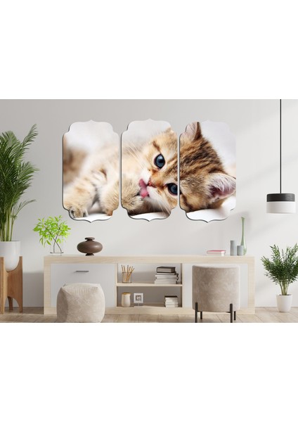 Kedi Mdf Tablo 2535 (Model D)