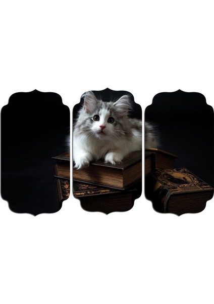 Kedi Mdf Tablo 2545 (Model D)
