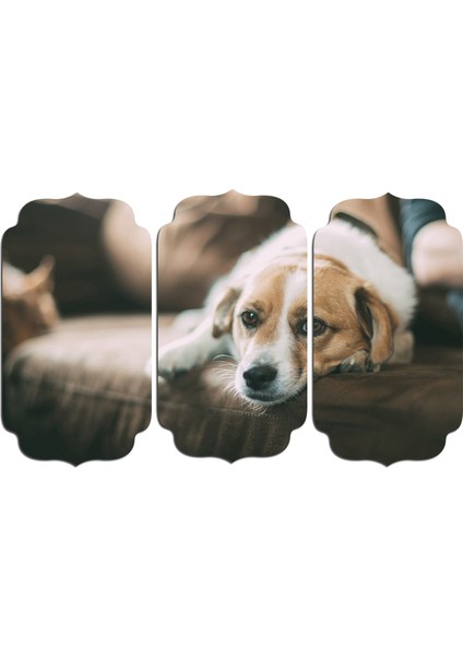 Köpek Mdf Tablo 2650 (Model D)