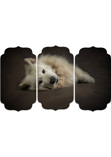 Köpek Mdf Tablo 2653 (Model D)