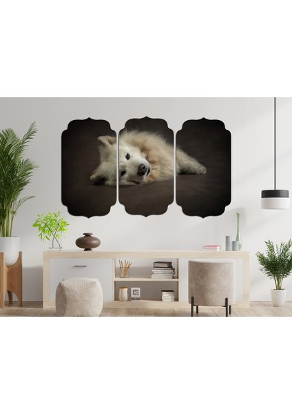 Köpek Mdf Tablo 2653 (Model D)