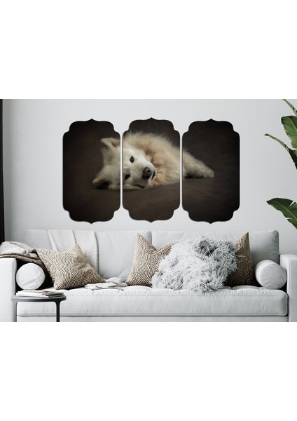 Köpek Mdf Tablo 2653 (Model D)