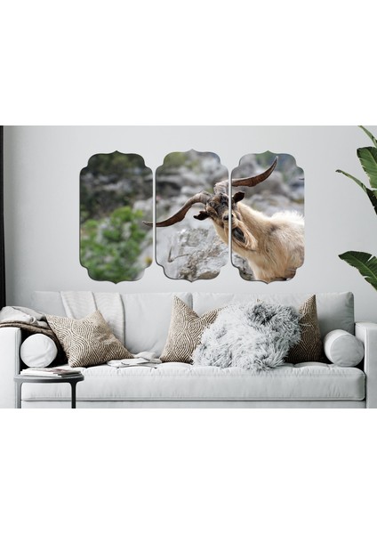 Keçi Mdf Tablo 2629 (Model D)