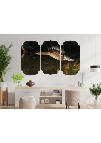 Kaz Mdf Tablo 2698 (Model D)