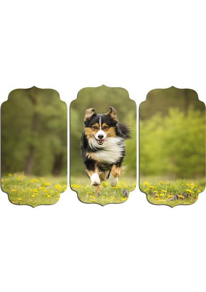 Köpek Mdf Tablo 2641 (Model D)