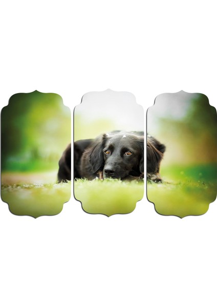 Köpek Mdf Tablo 2655 (Model D)