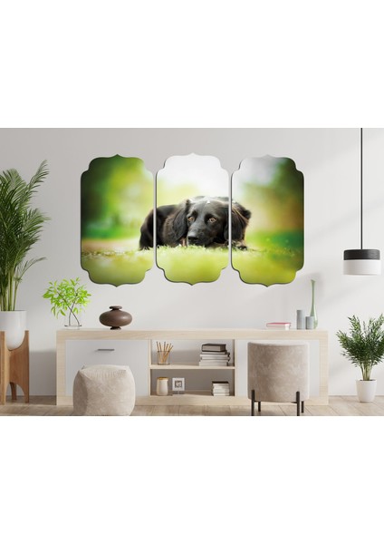 Köpek Mdf Tablo 2655 (Model D)