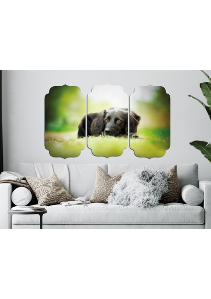 Köpek Mdf Tablo 2655 (Model D)