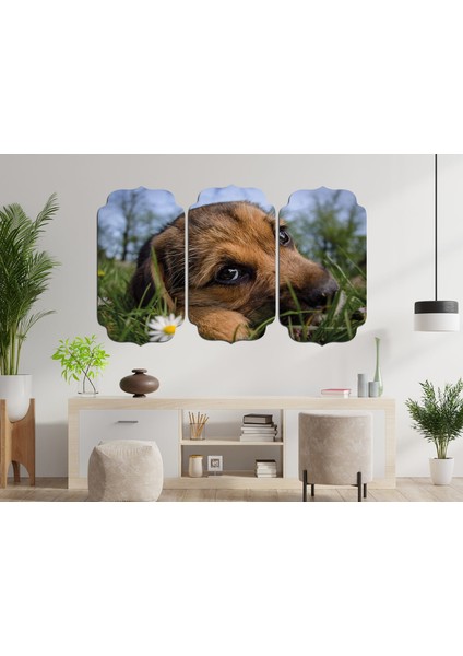 Köpek Mdf Tablo 2656 (Model D)