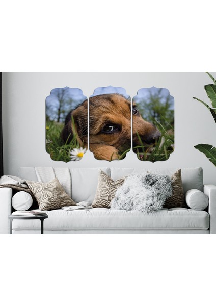 Köpek Mdf Tablo 2656 (Model D)