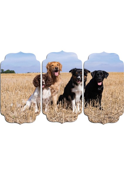 Köpek Mdf Tablo 2659 (Model D)