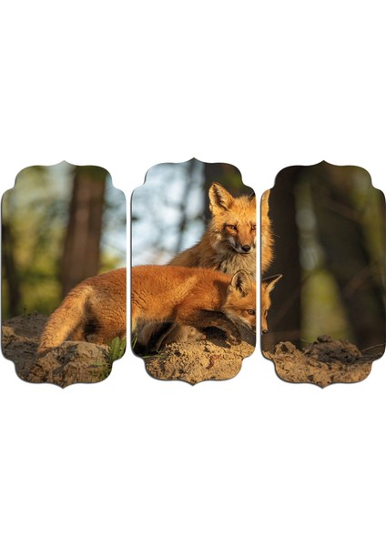Tilki Mdf Tablo 2736 (Model D)