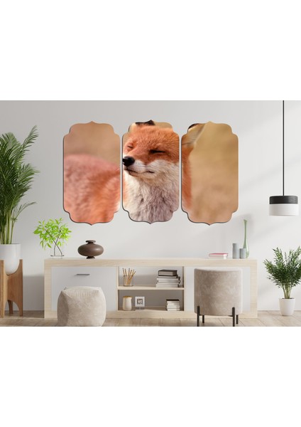 Tilki Mdf Tablo 2748 (Model D)