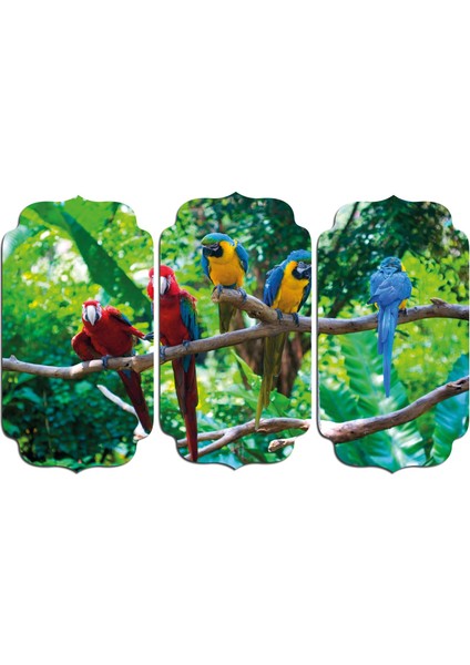 Papağanlar Mdf Tablo 2909 (Model D)