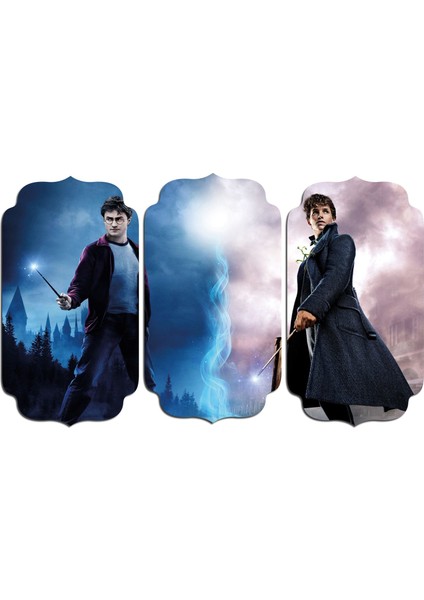 Harry Potter Mdf Tablo 2991 (Model D)