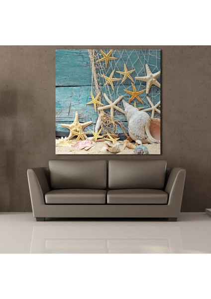 Deniz Kabukları ve Yıldızı 80X80CM
