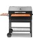 LC80 Barbekü Mangal + Kılıf + Önlük + BBQ Eldiveni 4