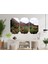 Çöl Kaktüs Mdf Tablo 3271 2