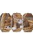 Kedi Mdf Tablo 2563 (Model D) 1