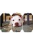 Köpek Mdf Tablo 2649 (Model D) 1
