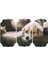 Köpek Mdf Tablo 2650 (Model D) 1