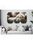 Köpek Mdf Tablo 2650 (Model D) 3