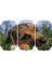 Köpek Mdf Tablo 2656 (Model D) 1