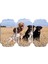 Köpek Mdf Tablo 2659 (Model D) 1