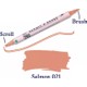  Renk Salmon