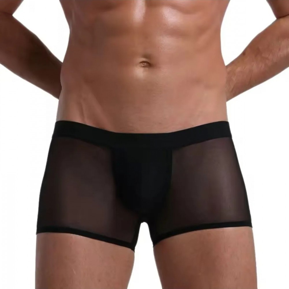 Marsilyan Fantezi Transparan Tül Erkek Boxer Fantezi Tanga TG274603 görsel 4