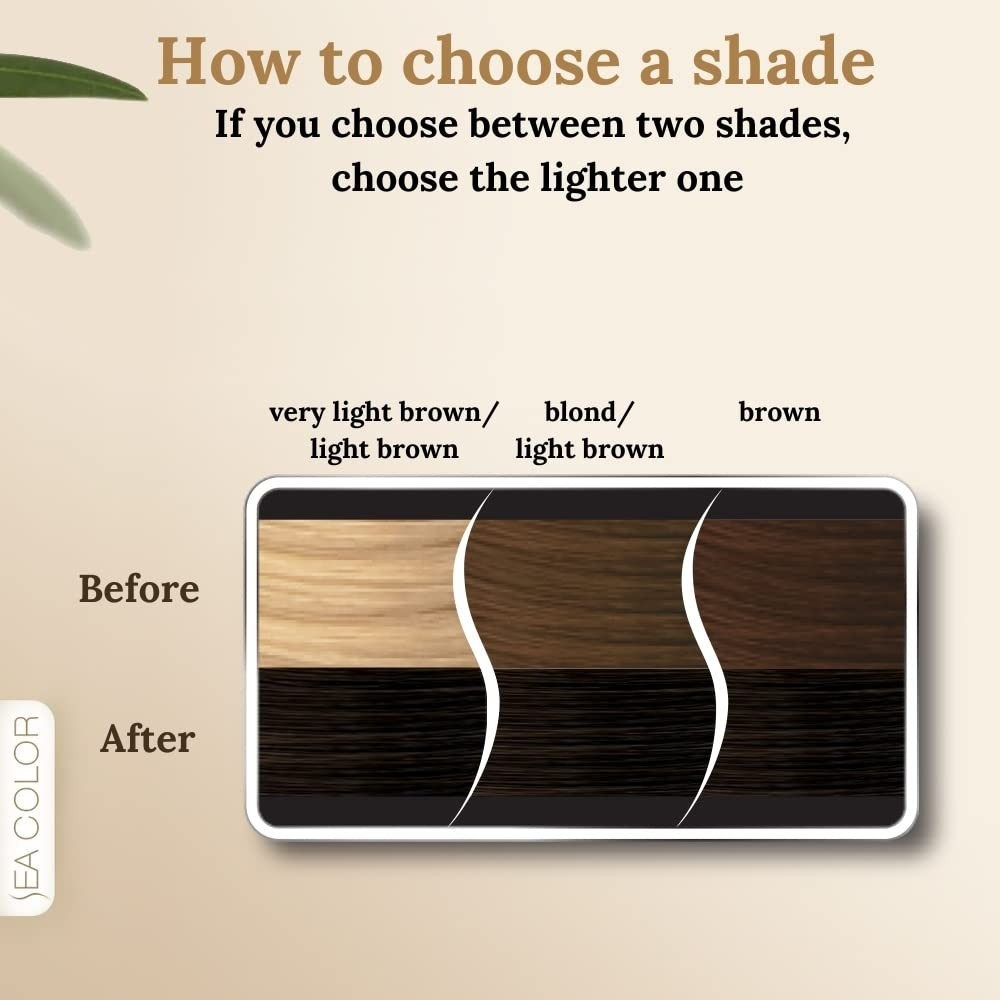 Aesco Sea Color Home Colorist Set Saç Boyası 3.0 Bitter Kahve Bıtter Coffee görsel 3