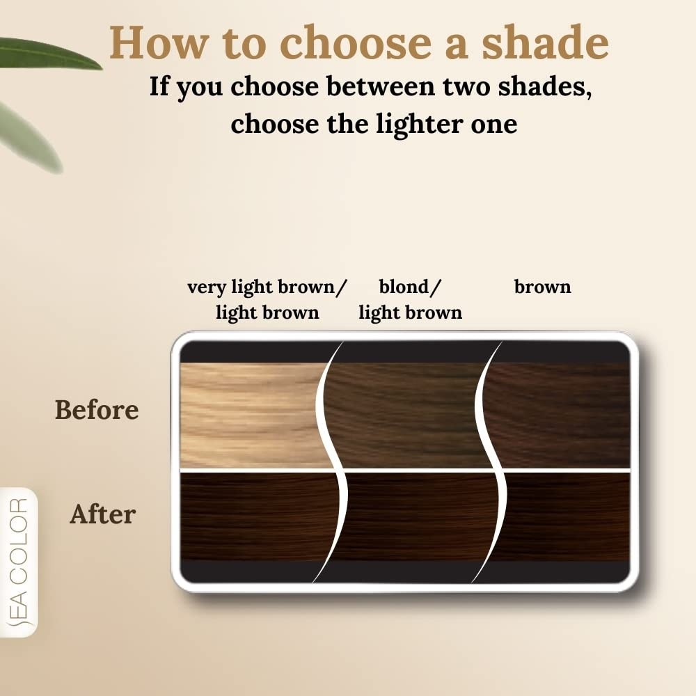 Aesco Sea Color Home Colorist Set Saç Boyası 6.7 Kakao Kumral Cocoa Brown görsel 3