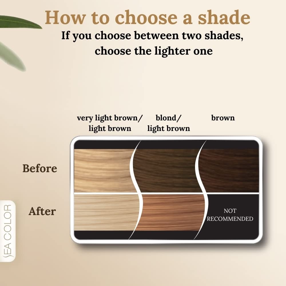 Aesco Sea Color Home Colorist Set Saç Boyası 10.0 Işıltılı Sarı Shınıng Blonde görsel 3