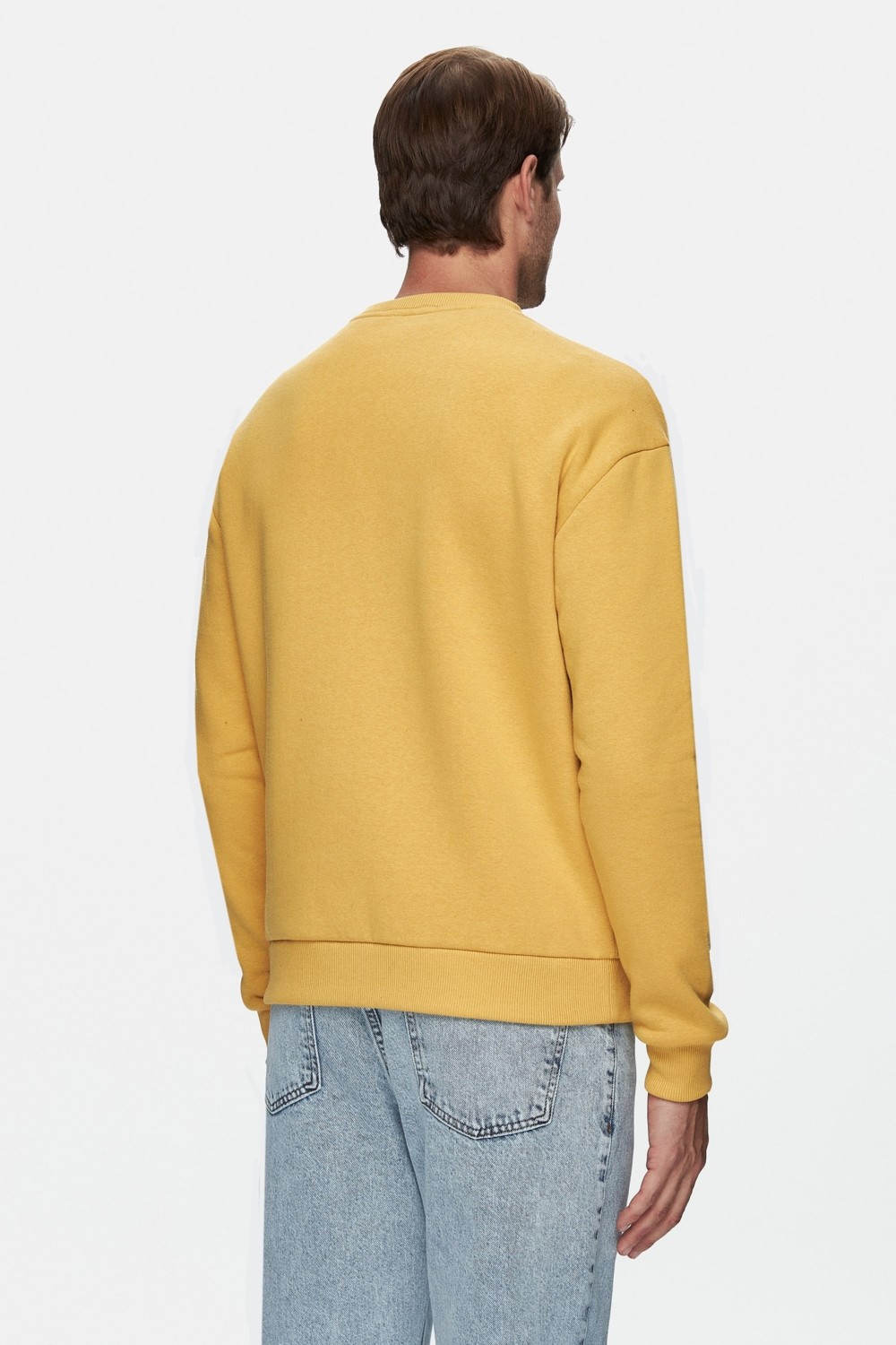 Ucla SANDHILL Yeşil Bisiklet Yaka Pamuklu Nakışlı Loose Fit Erkek Sweatshirt görsel 4