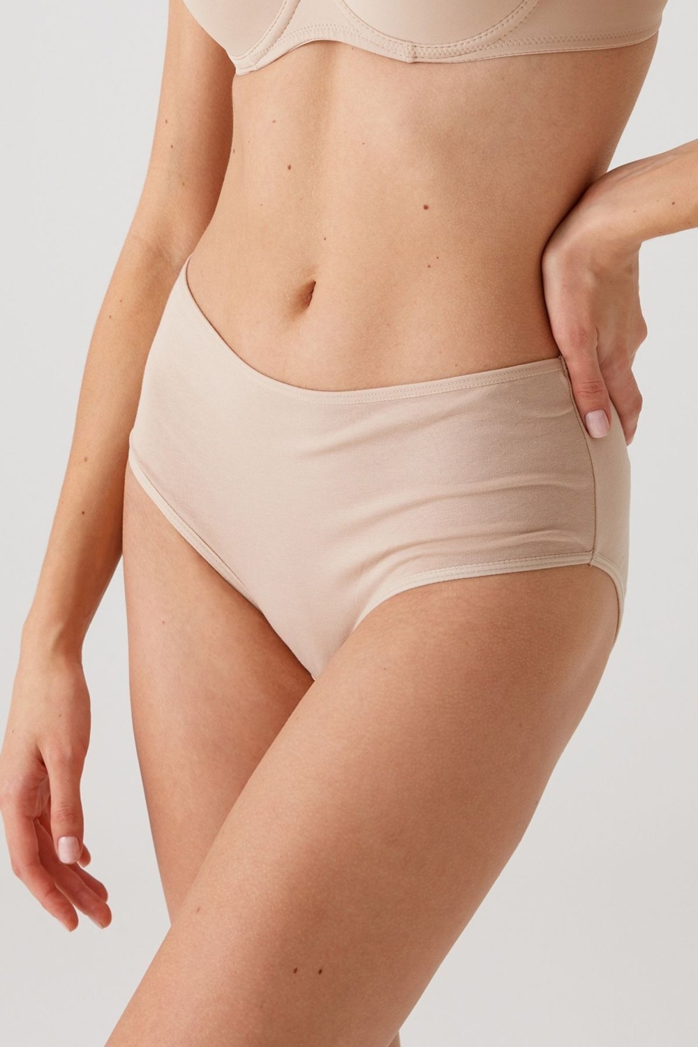 Pierre Cardin 3'lü Ekonomik Paket 2953 Maxi Cut Pamuklu Basic Külot görsel 4