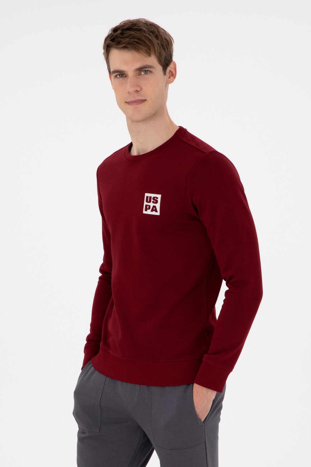 U.S. Polo Assn. Erkek Regular Fit Bisiklet Yaka Siyah Sweatshirt 50293456-VR046 görsel 8