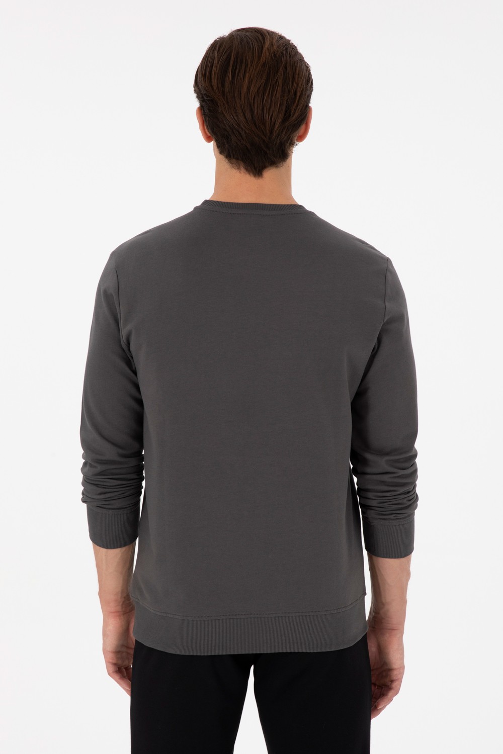 U.S. Polo Assn. Erkek Regular Fit Bisiklet Yaka Antrasit Sweatshirt 50293461-VR006 görsel 5