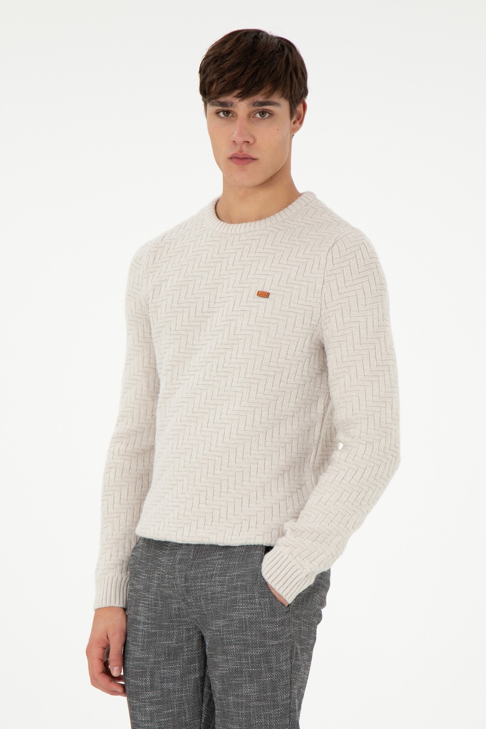 U.S. Polo Assn. Erkek Slim Fit Bisiklet Yaka Taş Kazak 50297050-VR049