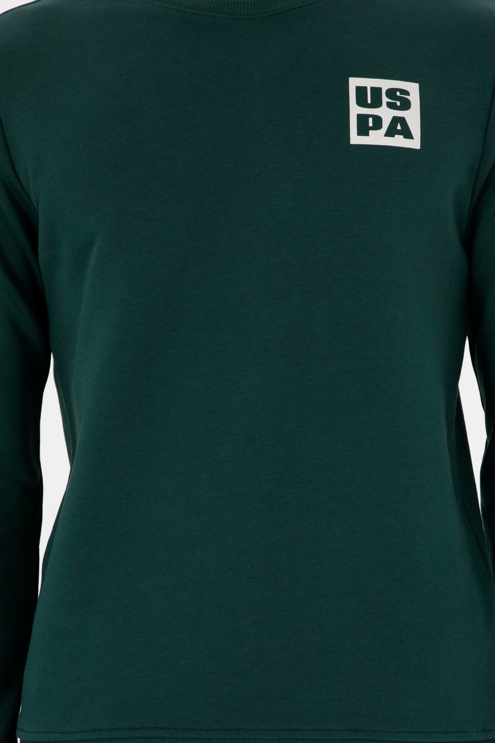 U.S. Polo Assn. Erkek Regular Fit Bisiklet Yaka Siyah Sweatshirt 50293456-VR046 görsel 6