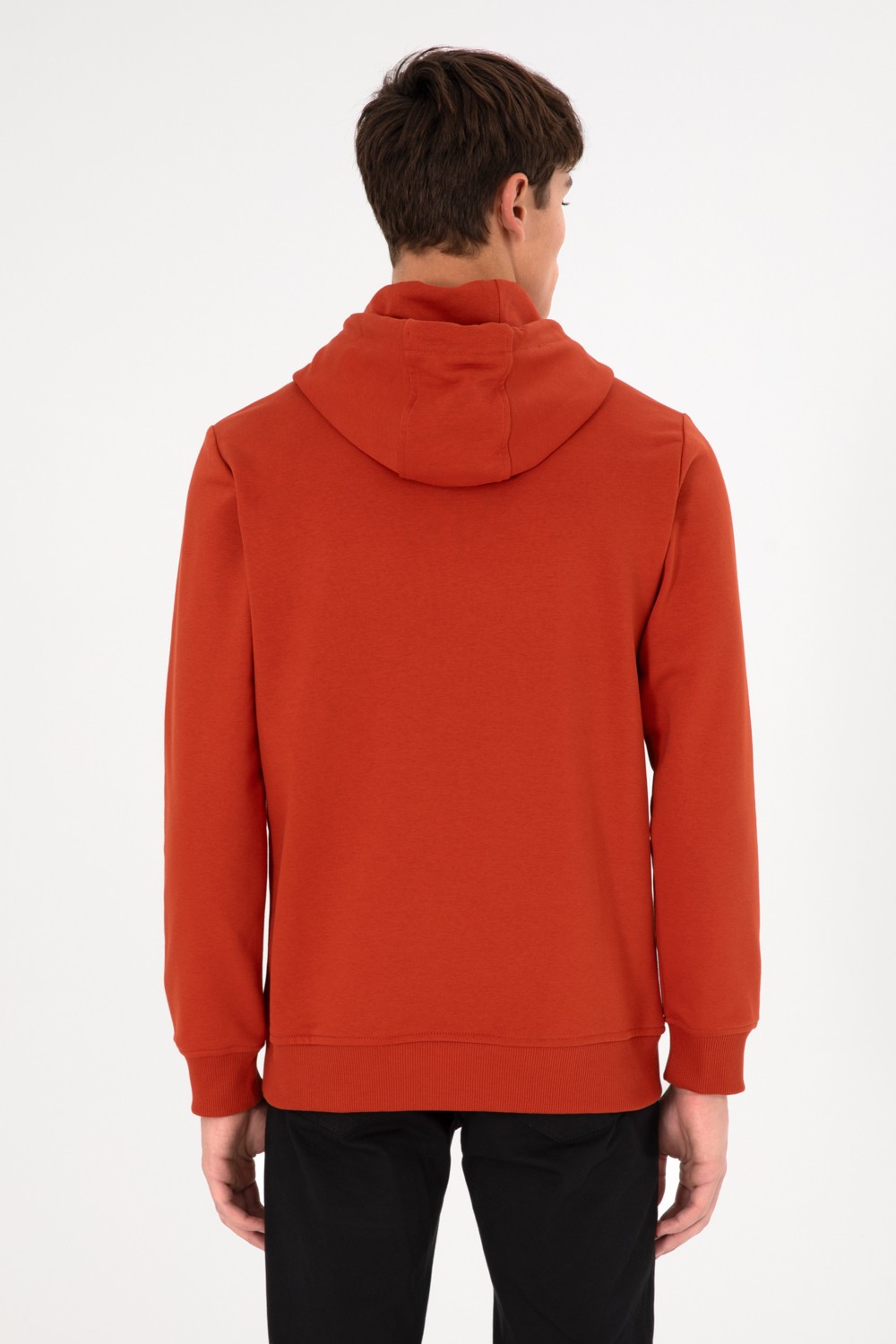 U.S. Polo Assn. Erkek Regular Fit Kapüşonlu Taş Basic Sweatshirt 50295175-VR049 görsel 6