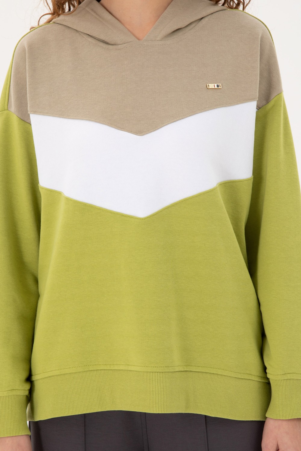 U.S. Polo Assn. Kadın Bordo Kapüşonlu Sweatshirt 50297376-VR014 görsel 6