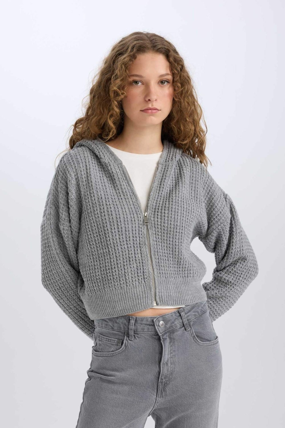 DeFacto Regular Fit Kapüşonlu Fermuarlı Triko Hırka E2269AXNS