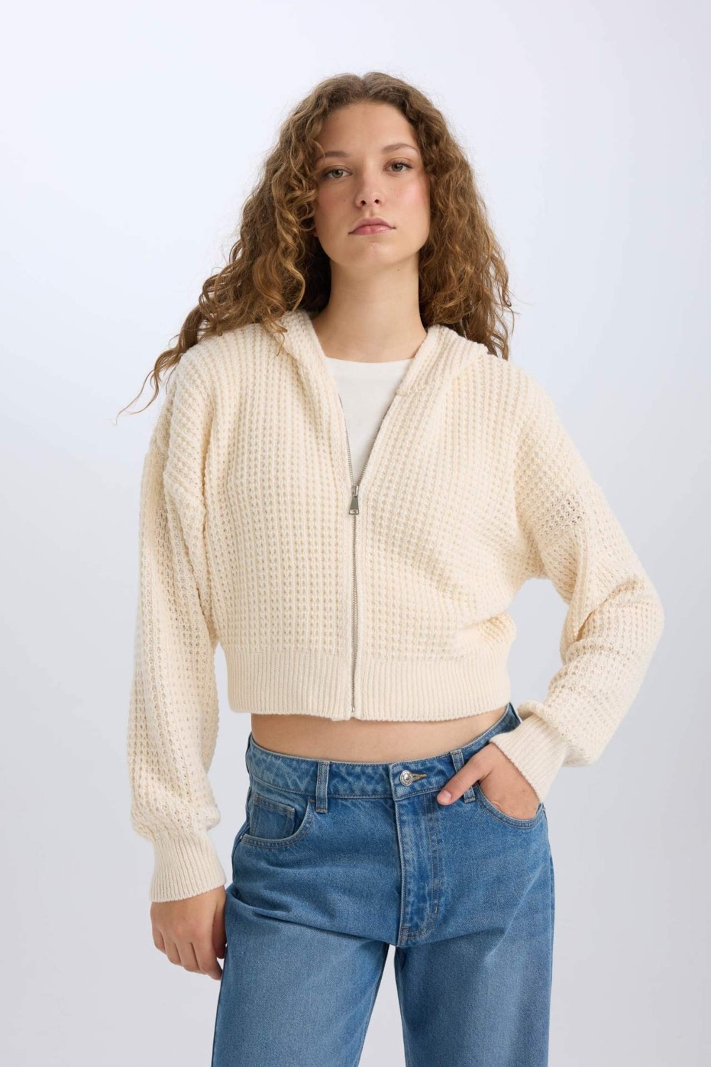 DeFacto Regular Fit Kapüşonlu Fermuarlı Triko Hırka E2269AXNS