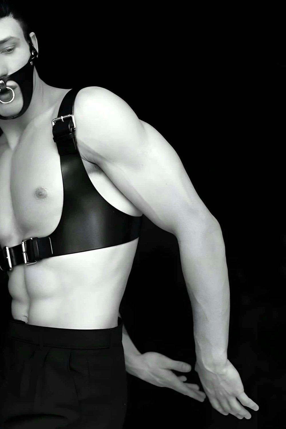 Beruflic Deri Göğüs ve Maske Harness - BRFM112 görsel 4