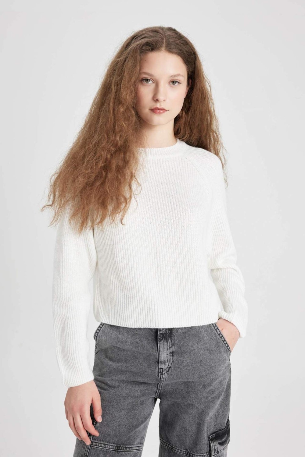 DeFacto Coool Regular Fit Bisiklet Yaka Basic Düz Triko Kazak L2567AZ24WN görsel 5