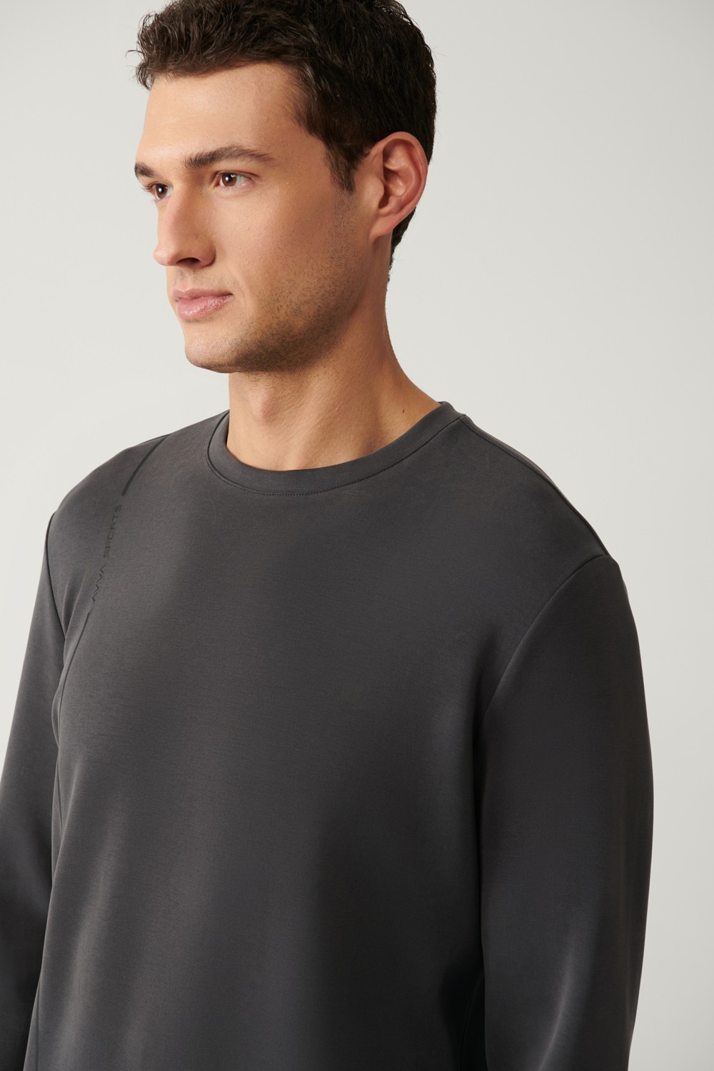 AVVA Erkek Antrasit Bisiklet Yaka Baskılı Soft Touch Regular Fit Sweatshirt A41Y1224 görsel 2