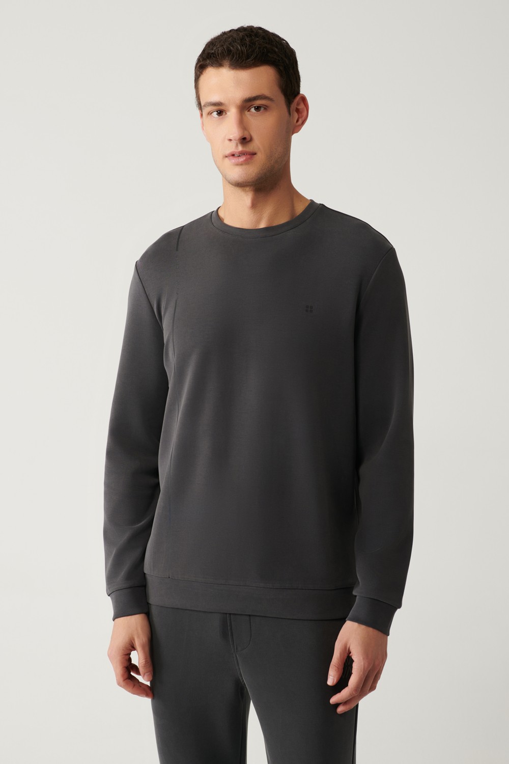 AVVA Erkek Antrasit Bisiklet Yaka Baskılı Soft Touch Regular Fit Sweatshirt A41Y1224 görsel 3
